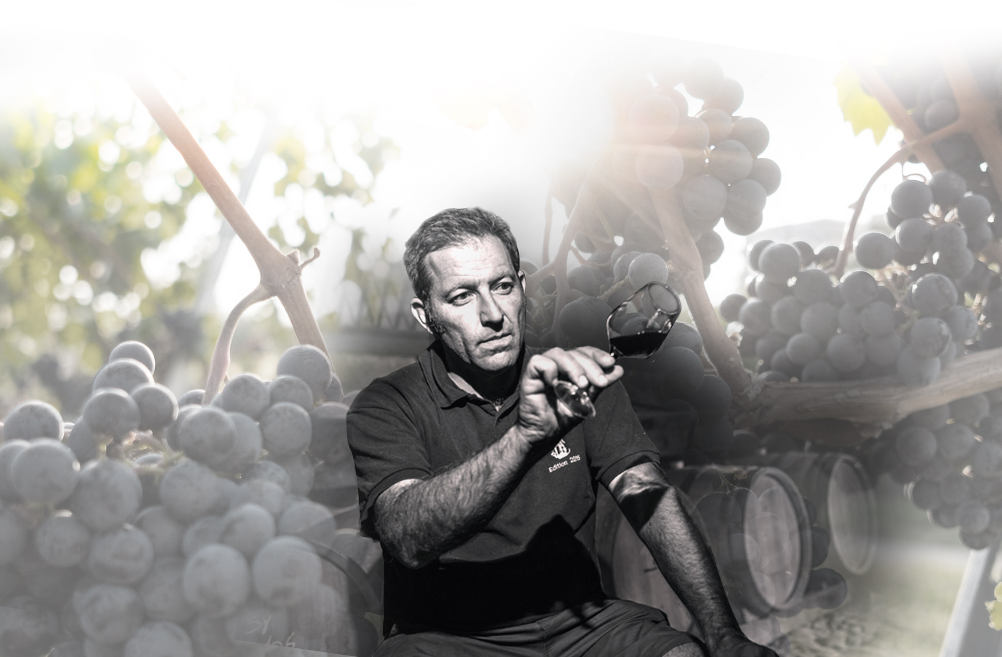 thewinemuses250808101255.jpg