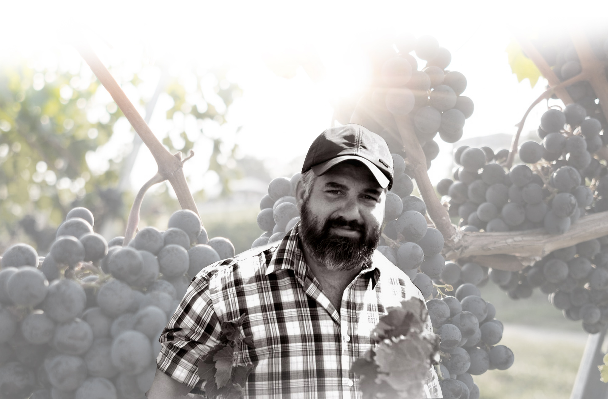 thewinemuses250808101302.jpg