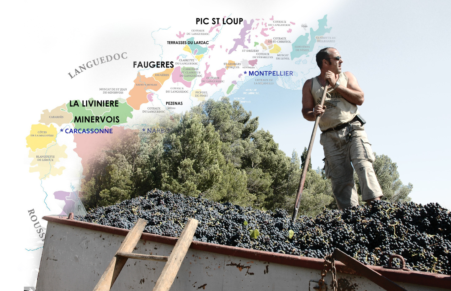 thewinemuses250819020045.jpg